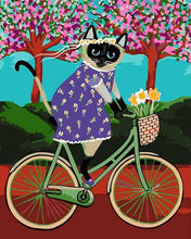 Laden Sie das Bild in den Galerie-Viewer, Malen nach Zahlen für Erwachsene | Schwarze Katze und Fahrrad | Figured'Art