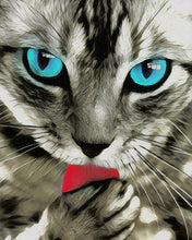 Laden Sie das Bild in den Galerie-Viewer, Malen nach Zahlen – Der Blick der Katze