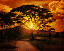 Laden Sie das Bild in den Galerie-Viewer, Diamond Painting – Großer Baum und Sonnenaufgang