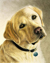 Laden Sie das Bild in den Galerie-Viewer, Diamond Painting – Porträt eines Labradors