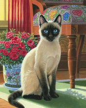 Laden Sie das Bild in den Galerie-Viewer, Diamond Painting – Blauäugige Katze | Figured'Art