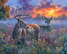 Laden Sie das Bild in den Galerie-Viewer, Malen nach Zahlen für Erwachsene | Reh Pärchen | Figured'Art