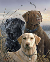 Laden Sie das Bild in den Galerie-Viewer, Malen nach Zahlen für Erwachsene | Labrador-Trio | Figured'Art