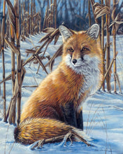 Laden Sie das Bild in den Galerie-Viewer, Malen nach Zahlen für Erwachsene | Fuchs im Schnee | Figured'Art