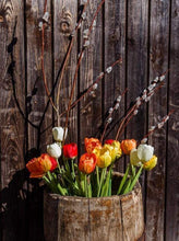 Laden Sie das Bild in den Galerie-Viewer, Malen nach Zahlen für Erwachsene | Fass mit Tulpen | Figured'Art