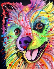 Laden Sie das Bild in den Galerie-Viewer, Malen nach Zahlen für Erwachsene | Schöner Hund | Figured'Art