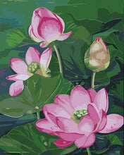 Laden Sie das Bild in den Galerie-Viewer, Malen nach Zahlen für Erwachsene | Schöne Lotusblume | Figured'Art
