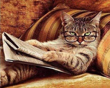 Laden Sie das Bild in den Galerie-Viewer, Diamond Painting – Lesende Katze