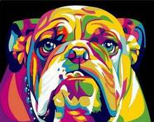 Laden Sie das Bild in den Galerie-Viewer, Malen nach Zahlen für Erwachsene | Bulldog Pop Art | Figured'Art