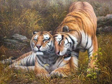 Laden Sie das Bild in den Galerie-Viewer, Malen nach Zahlen für Erwachsene | Zärtliche Tiger | Figured'Art