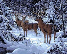 Laden Sie das Bild in den Galerie-Viewer, Malen nach Zahlen für Erwachsene | Hirsche im Schnee | Figured'Art