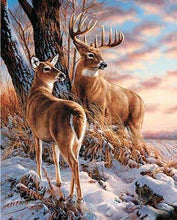 Laden Sie das Bild in den Galerie-Viewer, Malen nach Zahlen für Erwachsene | Hirsch im Winter | Figured'Art