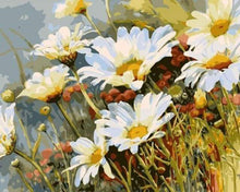 Laden Sie das Bild in den Galerie-Viewer, Malen nach Zahlen für Erwachsene | Gänseblümchen Feld | Figured'Art