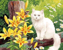 Laden Sie das Bild in den Galerie-Viewer, Malen nach Zahlen für Erwachsene | Weiße Katze und Schmetterling | Figured'Art