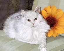 Laden Sie das Bild in den Galerie-Viewer, Malen nach Zahlen für Erwachsene | Weiße Katzen und Sonnenblume | Figured'Art