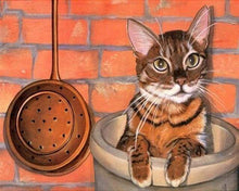 Laden Sie das Bild in den Galerie-Viewer, Malen nach Zahlen für Erwachsene | Katze versteckt in der Küche | Figured'Art