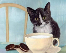 Laden Sie das Bild in den Galerie-Viewer, Malen nach Zahlen für Erwachsene | Katze in der Küche | Figured'Art