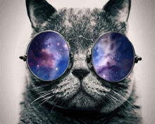 Laden Sie das Bild in den Galerie-Viewer, Malen nach Zahlen für Erwachsene | Katze und Sonnenbrillen | Figured'Art