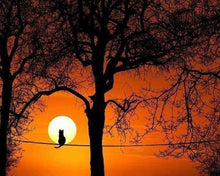 Laden Sie das Bild in den Galerie-Viewer, Malen nach Zahlen für Erwachsene | Katze und Vollmond | Figured'Art