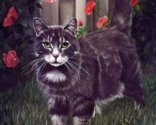 Laden Sie das Bild in den Galerie-Viewer, Malen nach Zahlen für Erwachsene | Schwarze Katze | Figured'Art
