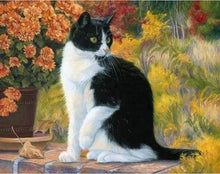 Laden Sie das Bild in den Galerie-Viewer, Malen nach Zahlen für Erwachsene | Schwarze und weiße Katze | Figured'Art