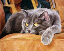 Laden Sie das Bild in den Galerie-Viewer, Malen nach Zahlen für Erwachsene | Katze auf dem Sofa | Figured'Art