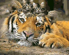 Laden Sie das Bild in den Galerie-Viewer, Malen nach Zahlen für Erwachsene | Kätzchen und Tiger | Figured'Art