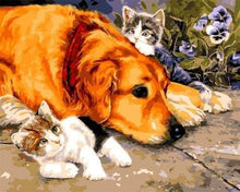Laden Sie das Bild in den Galerie-Viewer, Malen nach Zahlen für Erwachsene | Katzen und Hunde | Figured'Art