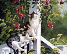 Laden Sie das Bild in den Galerie-Viewer, Malen nach Zahlen für Erwachsene | Katzen und Kolibri | Figured'Art