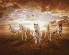 Laden Sie das Bild in den Galerie-Viewer, Malen nach Zahlen für Erwachsene | Weiße Pferde im Galopp | Figured'Art