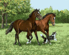 Laden Sie das Bild in den Galerie-Viewer, Malen nach Zahlen für Erwachsene | Pferde und Hunde in der Prairie | Figured'Art