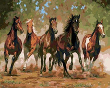 Laden Sie das Bild in den Galerie-Viewer, Malen nach Zahlen für Erwachsene | Pferde im Galopp | Figured'Art