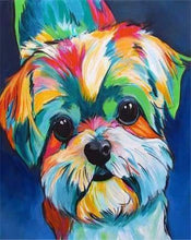 Laden Sie das Bild in den Galerie-Viewer, Malen nach Zahlen für Erwachsene | Bunter Hund 2 | Figured'Art