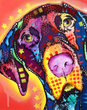 Laden Sie das Bild in den Galerie-Viewer, Malen nach Zahlen für Erwachsene | Hund und Sterne | Figured'Art