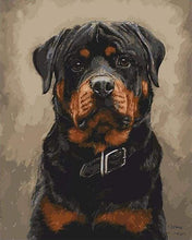 Laden Sie das Bild in den Galerie-Viewer, Malen nach Zahlen für Erwachsene | Schwarzbrauner Hund | Figured'Art