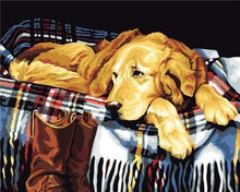 Laden Sie das Bild in den Galerie-Viewer, Malen nach Zahlen für Erwachsene | Fauler Hund | Figured'Art