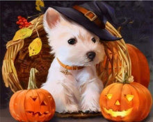 Laden Sie das Bild in den Galerie-Viewer, Malen nach Zahlen für Erwachsene | Halloween Hund mit Hut | Figured'Art