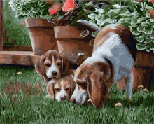 Laden Sie das Bild in den Galerie-Viewer, Malen nach Zahlen für Erwachsene | Hunde auf dem Rasen | Figured'Art