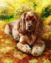 Laden Sie das Bild in den Galerie-Viewer, Malen nach Zahlen für Erwachsene | Golden Retriever Welpe | Figured'Art