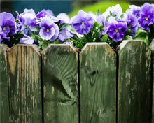 Laden Sie das Bild in den Galerie-Viewer, Malen nach Zahlen für Erwachsene | Zaun mit Blumen | Figured'Art