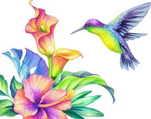 Laden Sie das Bild in den Galerie-Viewer, Malen nach Zahlen für Erwachsene | Kolibri und Blumen | Figured'Art