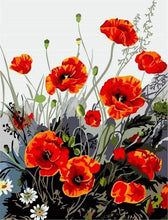 Laden Sie das Bild in den Galerie-Viewer, Malen nach Zahlen für Erwachsene | Rote Mohnblumen | Figured'Art