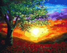Laden Sie das Bild in den Galerie-Viewer, Malen nach Zahlen für Erwachsene | Strahlender Sonnenuntergang | Figured'Art