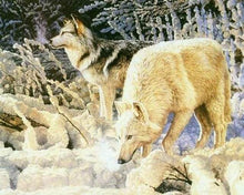 Laden Sie das Bild in den Galerie-Viewer, Malen nach Zahlen für Erwachsene | Weisses Wolfpaar | Figured'Art