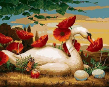 Laden Sie das Bild in den Galerie-Viewer, Malen nach Zahlen für Erwachsene | Schwan und Mohnblumen | Figured'Art
