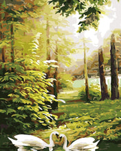 Laden Sie das Bild in den Galerie-Viewer, Malen nach Zahlen für Erwachsene | Schwäne in der Nähe von Wald | Figured'Art