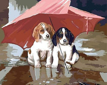 Laden Sie das Bild in den Galerie-Viewer, Malen nach Zahlen für Erwachsene | Zwei Welpen unter einem Regenschirm | Figured'Art