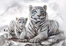 Laden Sie das Bild in den Galerie-Viewer, Malen nach Zahlen für Erwachsene | Zwei weiße Tiger | Figured'Art