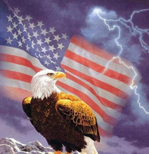 Laden Sie das Bild in den Galerie-Viewer, Diamond Painting, Amerikanischer Adler