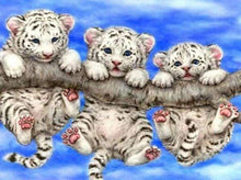 Laden Sie das Bild in den Galerie-Viewer, Diamond Painting, Kleine weiße Tiger